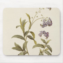 Forget-me-not Mouse Pads