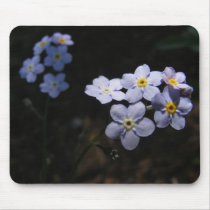 Forget Me Not ~ mousepad