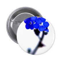 forget me not pins