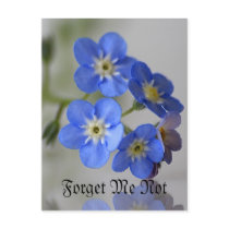 Forget Me Not Post Cards