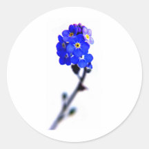 forget me not sticker