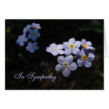 Forget Me Not ~ Sympathy Greeting Card