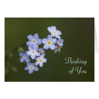 think of me cards think of me cards