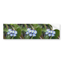 Forget Me Nots 2 Bumper Sticker