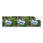 Forget Me Nots 2 Bumper Sticker bumper stickers