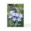 Forget Me Nots 2 Greeting Card
