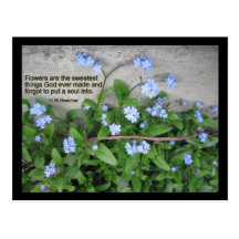 Forget-Me-Nots Post Cards