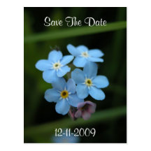 Forget Me Nots Save The Date Postcard