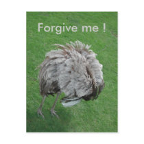 Forgive me !