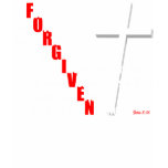 Forgiven John 3:16 Destroyed Shirt (Women)