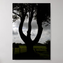 Forked tree posters