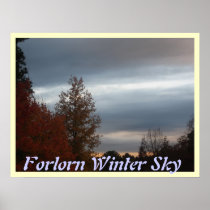 Forlorn Winter Sky