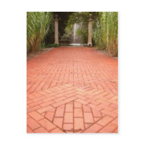 Formal Garden Path to Water Fountain Post Card