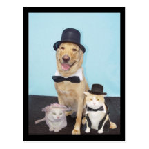 Formal Postcard