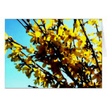 Forsynthia Greeting Cards