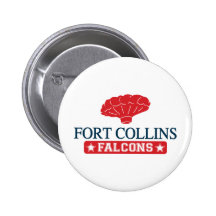 Fort Collins Falcons - Home of Balloon Boy Pin