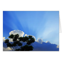 Fort Lauderdale, Florida Sunset Greeting Cards