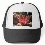 "Fort Meadow - Dawn" hats