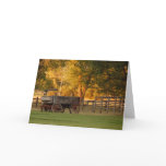 Fort Missoula in Montana Greeting Cards
