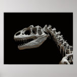 Fossil allosaurus head and neck posters