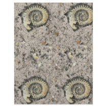 fossil background custom flyer