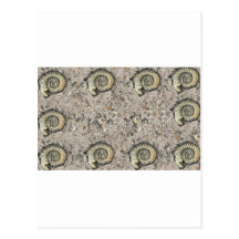 fossil background postcards