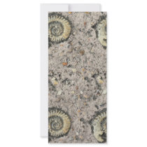 fossil background full color rack card