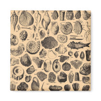 Fossil Fridge Magnet