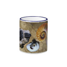 Fossil Mug