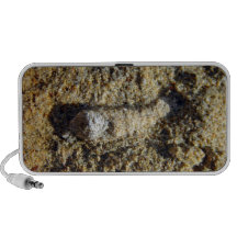Fossil root in limestone travelling speaker