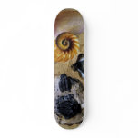 Fossil Skateboard
