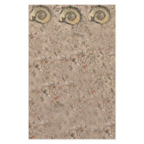 Fossil Stationery