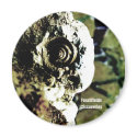 Fossilfields Discoveries Magnet