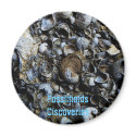 Fossilfields Discoveries Magnet