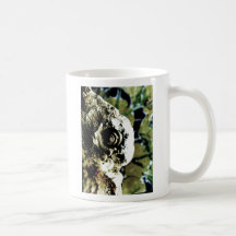 Fossilfields Discoveries Mug