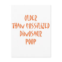 Fossilised Dinosaur Poop
