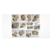 FOSSILIZED MAMMAL VERTEBRA