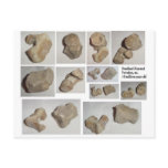 FOSSILIZED MAMMAL VERTEBRA