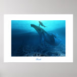 FOSSILS  PRINT