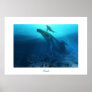 FOSSILS  PRINT