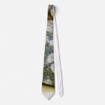 Fossils Rocks Coral ties