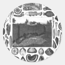 FOSSILS ROUND STICKER