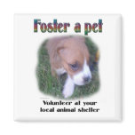 Foster a pet refrigerator magnet