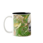 Foster mug