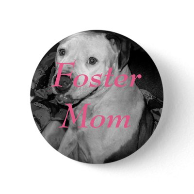 Foster Mum button by rescueadog