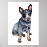 Foster Poster