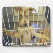 Foster - Rescue - Adopt Mousepad2