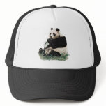 FOTC PANDA HAT BRET FLIGHT CONCHORDS HBO SHIRT