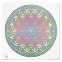 Foto Poster ~ Healing~Energy "Flower Of Life"