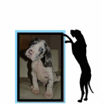 Fotoramen mit Springdogge photo sculptures